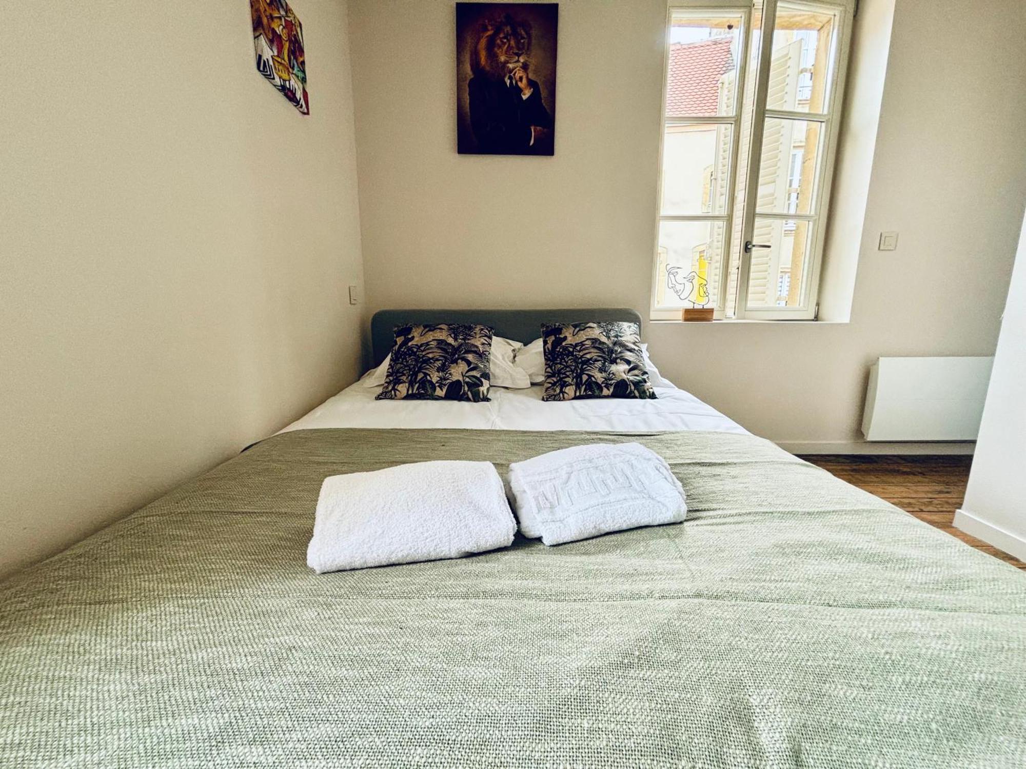 Louis Premier Et Second Metz Centre Un Sejour A Part Apartman Kültér fotó