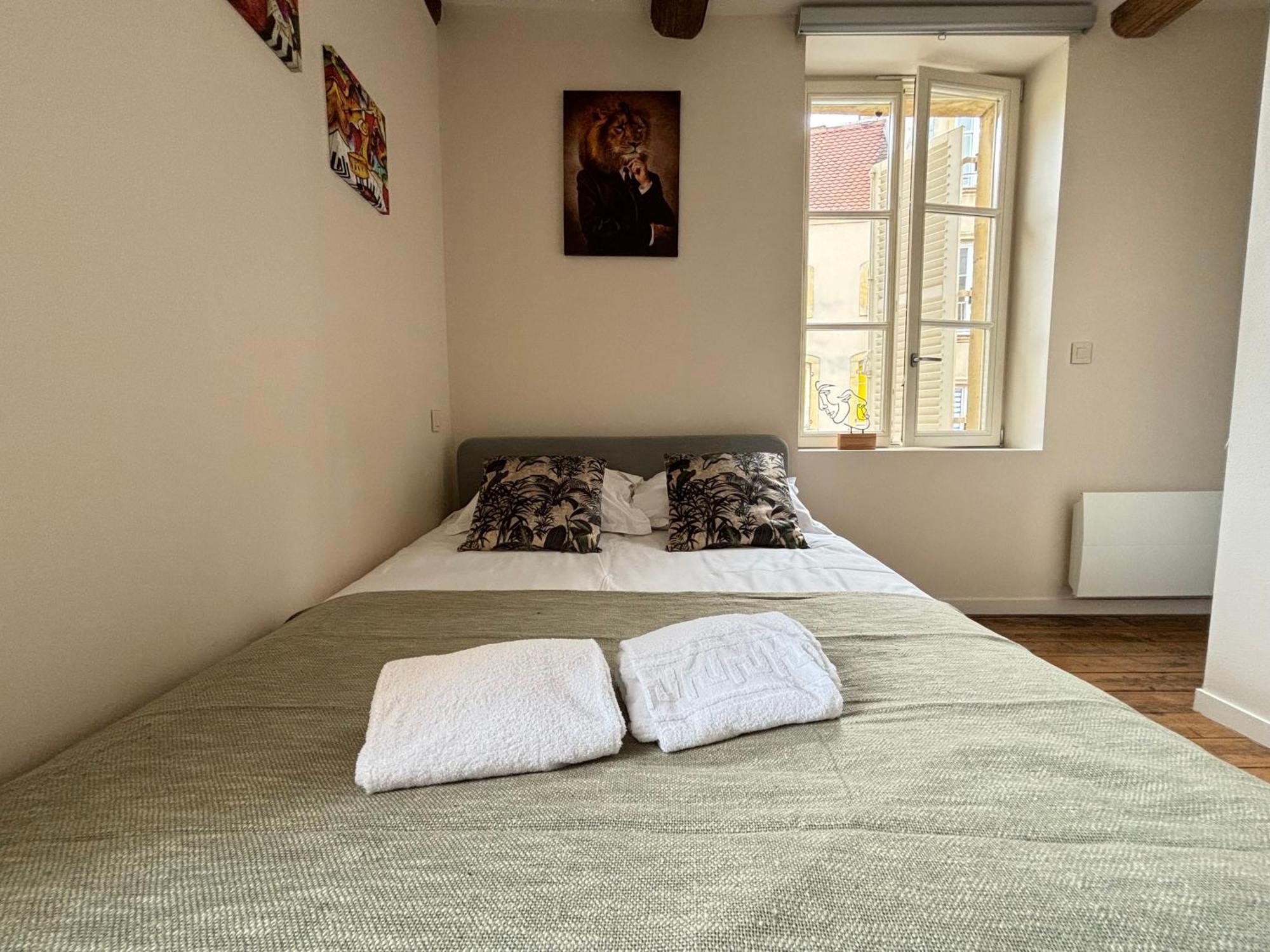 Louis Premier Et Second Metz Centre Un Sejour A Part Apartman Kültér fotó