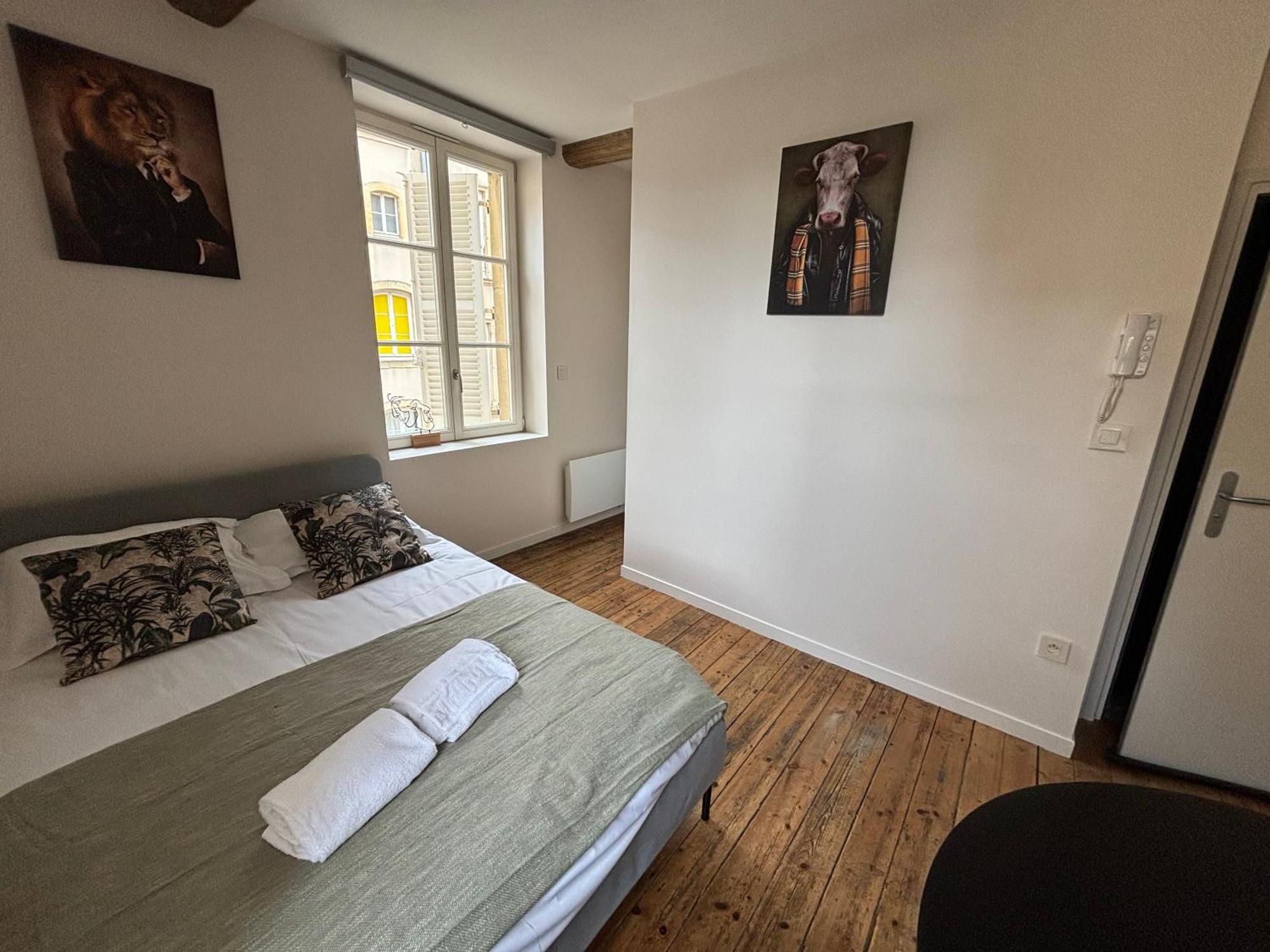 Louis Premier Et Second Metz Centre Un Sejour A Part Apartman Kültér fotó
