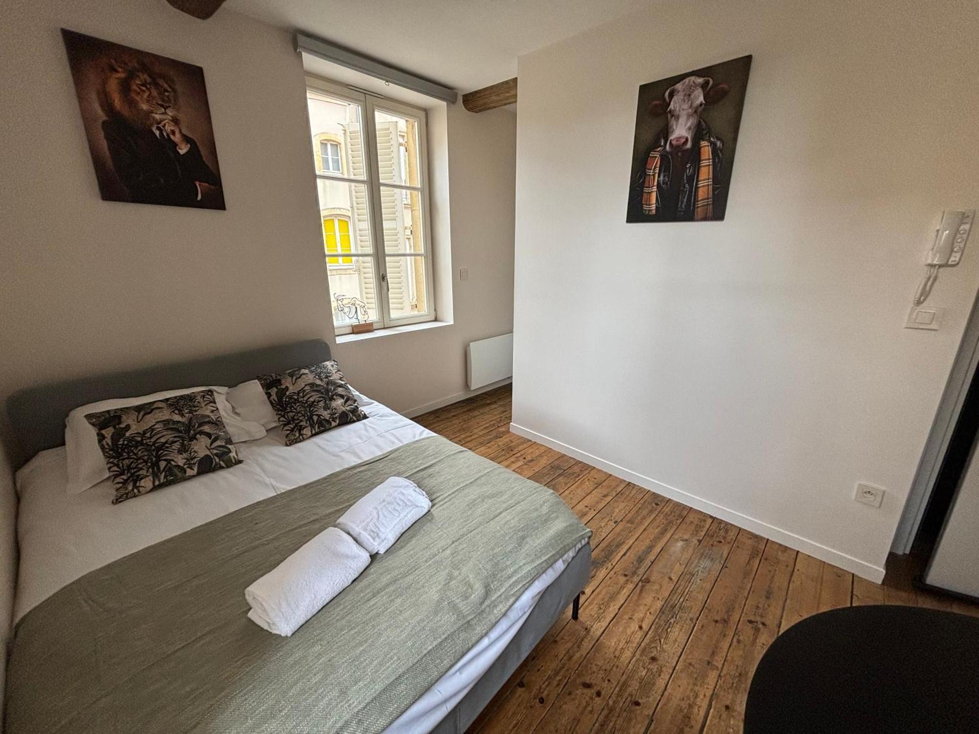 Louis Premier Et Second Metz Centre Un Sejour A Part Apartman Kültér fotó